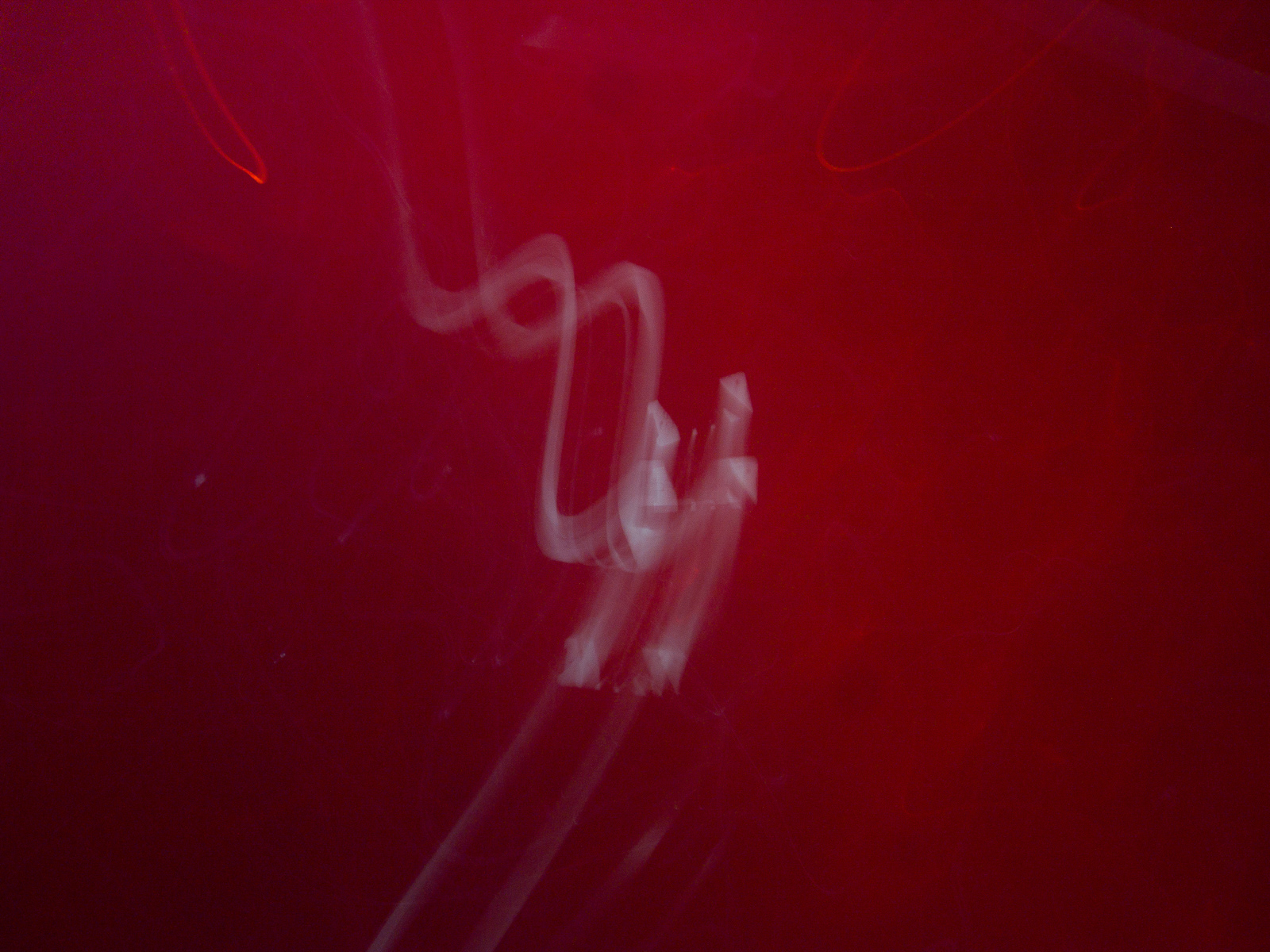 今夜无风 image 30